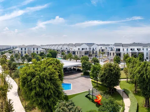 Novaland: Doanh thu năm 2024 đạt hơn 9.000 tỷ đồng, bàn giao hơn 1.400 sản phẩm