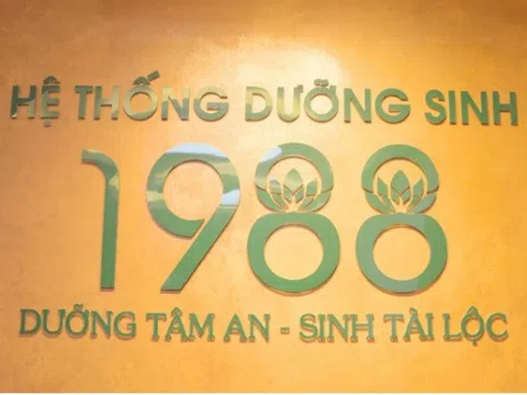 Hệ thống dưỡng sinh 1988: Nơi thân tâm tìm về nhịp điệu cân bằng
