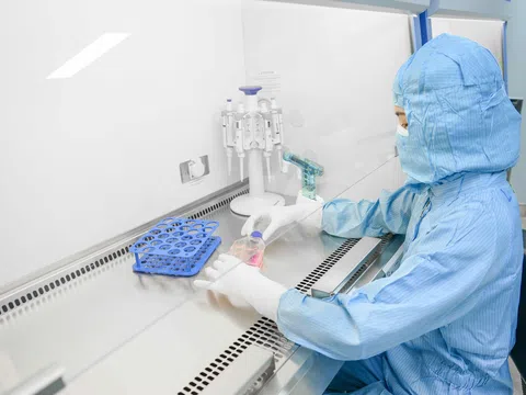 Vinmec làm chủ kỹ thuật khó bậc nhất, mở lại hy vọng cho bệnh nhân ung thư máu kháng trị