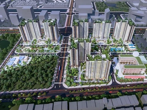 Năm Bảy Bảy (NBB) đặt chỉ tiêu tổng doanh thu đạt 380 tỷ đồng trong năm 2026