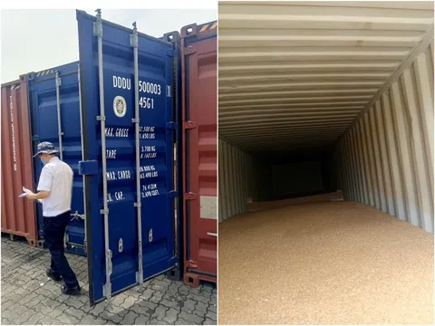 Doanh nghiệp khởi kiện Chi cục Hải quan khu vực III, yêu cầu bồi thường hơn 3,3 tỉ đồng