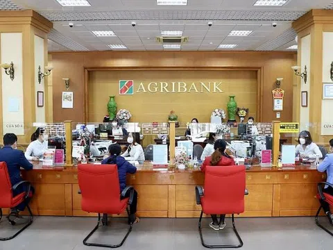 Agribank muốn đấu giá khoản nợ thế chấp bằng khách sạn 12 tầng