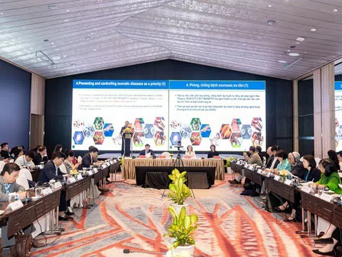 Tiến tới loại trừ hoạt động buôn bán thịt chó và mèo