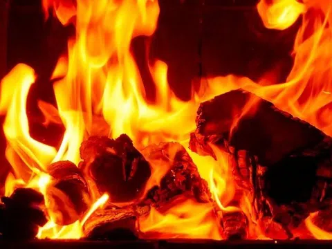 Loạt cổ phiếu “hot” có thể mang “niềm vui” cho nhà đầu tư mệnh Hỏa trong năm Ất Tỵ 2025