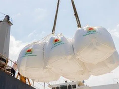 Ngành gạo năm 2024: Xuất khẩu bùng nổ, lợi nhuận teo tóp