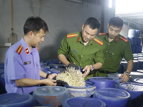 Thông tin mới về vụ 3.500 tấn giá đỗ ngâm hóa chất tuồn ra thị trường