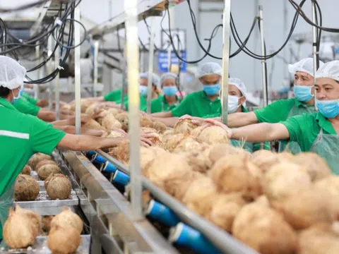 Hợp lực xây dựng chuỗi giá trị nông nghiệp tuần hoàn