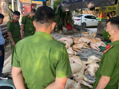 Vĩnh Phúc: Phát hiện, xử lý gần 800kg thịt lợn bốc mùi hôi thối tại nhà hàng