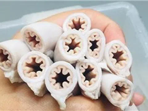 Thành phố Hồ Chí Minh đồng loạt kiểm tra quán kinh doanh lòng xe điếu