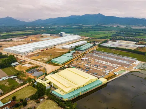 Bình Định: Một doanh nghiệp được chọn xây dựng 3 dự án với tổng vốn hơn 630 tỷ đồng
