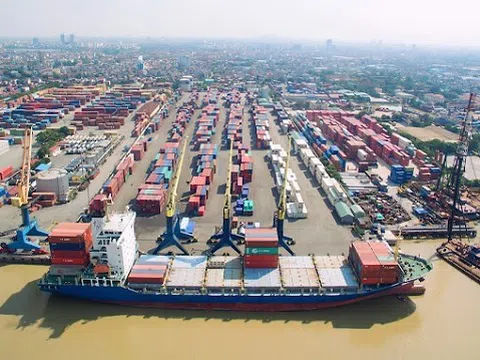Hai lãnh đạo chủ chốt Cảng Đoạn Xá (DXP) từ nhiệm