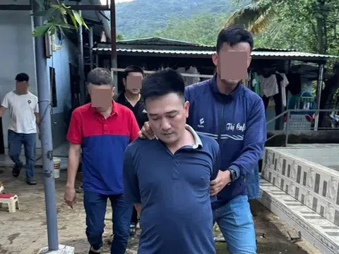 Triệt phá sới cá độ đá gà quy mô lớn, núp bóng trại nuôi gà