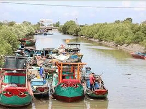Tổ hợp tác khai thác hải sản giúp ngư dân tăng thu nhập