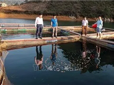 Hơn 100.000 tỷ đồng được dành cho vay ưu đãi nông, lâm, thủy sản