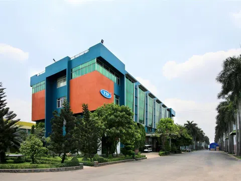Gỗ Trường Thành (TTF): Lợi nhuận quý I/2025 sụt giảm 86%, nợ vay gia tăng, thông qua kế hoạch vay vốn mới và cơ cấu lại nợ