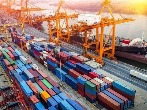 Cảng Đoạn Xá (DXP) trình kế hoạch lợi nhuận 2025 giảm, hủy tăng vốn, thay loạt nhân sự