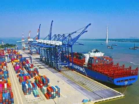 Dịch vụ Biển Tân Cảng (TOS): Đẩy mạnh M&A, lợi nhuận và thị giá tăng vọt
