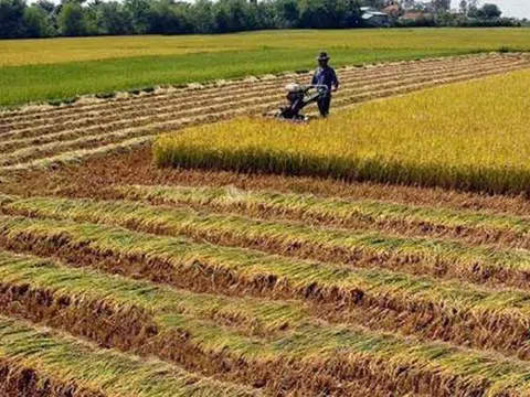 Thủ tục gia hạn sử dụng khi hết thời hạn sử dụng đất theo quy định mới nhất