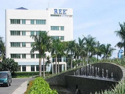 Cơ Điện Lạnh (REE) sắp phát hành gần 71 triệu cổ phiếu trả cổ tức năm 2024, tỷ lệ 15%