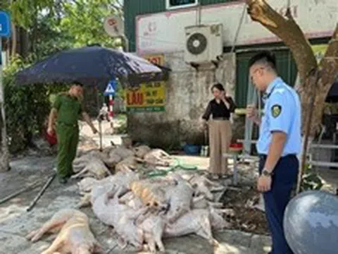 Quyết liệt xử lý các cơ sở kinh doanh thực phẩm không rõ nguồn gốc