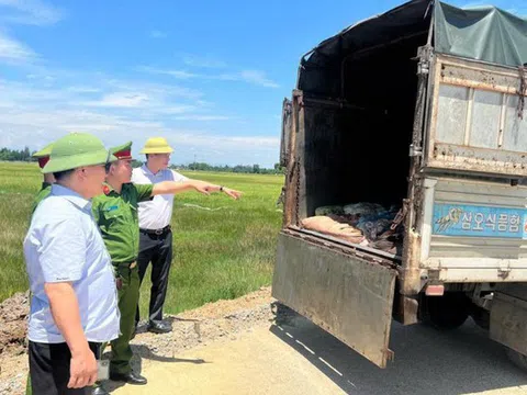 Phát hiện hơn 1 tấn sản phẩm động vật đã bốc mùi trên xe tải