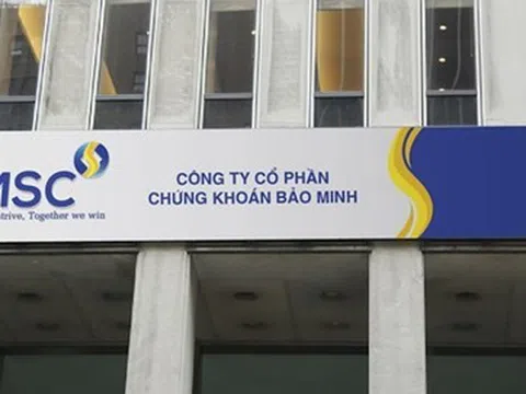 Chứng khoán Bảo Minh (BMS) sắp phát hành hơn 7,8 triệu cổ phiếu, nâng vốn điều lệ vượt mức 2.000 tỷ đồng