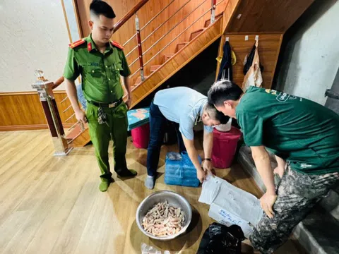 Phát hiện gần 500kg thực phẩm đông lạnh không rõ nguồn gốc ở Hạ Long