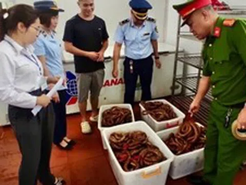 Quảng Ninh: Xử lý 56 vụ vi phạm an toàn thực phẩm