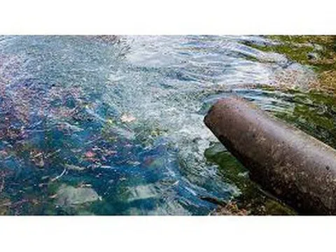 Hé lộ nguyên nhân một công ty ở Nghệ An bị xử phạt nửa tỷ đồng