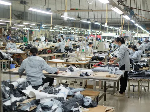 May Thanh Trì (TTG) điều chỉnh phương án sử dụng vốn, tập trung đảm bảo chi phí vận hành