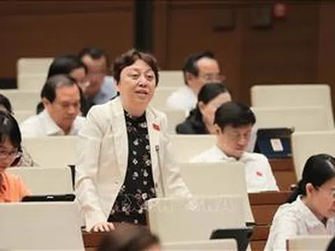 Đề xuất 'thanh tra đột xuất nhiều hơn thanh tra kế hoạch'