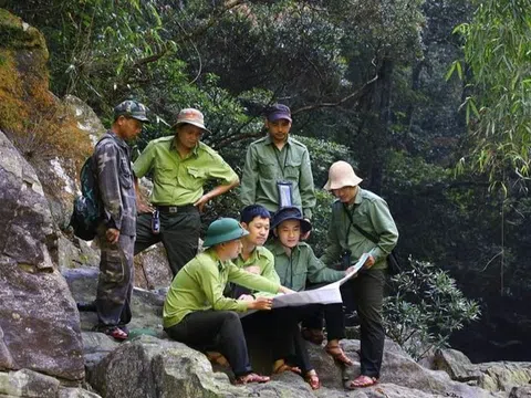 Quảng Trị có bao nhiêu diện tích rừng được hưởng lợi từ "bán không khí" năm 2025?
