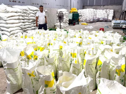 Đột kích xưởng sản xuất phân bón giả, nhập nguyên liệu từ Trung Quốc