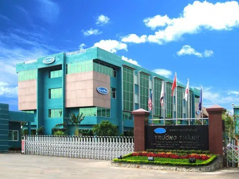 Gỗ Trường Thành (TTF) đặt mục tiêu lãi 50 tỷ đồng năm 2025, tiếp tục không chia cổ tức giữa áp lực nợ vay và lỗ lũy kế hơn 3.200 tỷ