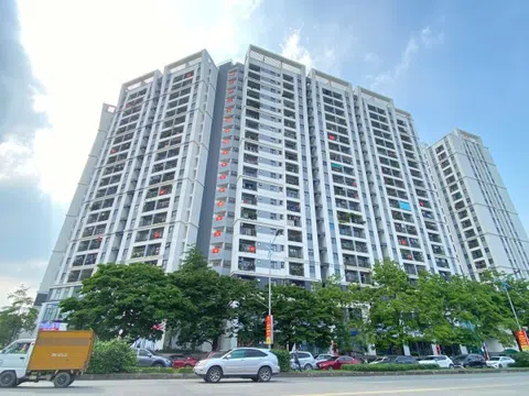 Lộ diện liên danh làm dự án nhà ở xã hội hơn 1.000 tỷ đồng tại Đà Nẵng
