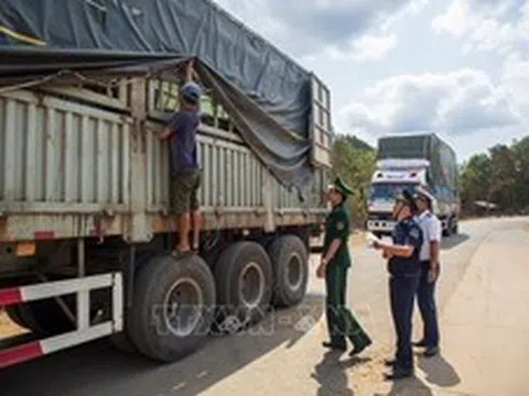 Xử lý nghiêm các vi phạm về nông lâm thủy sản và vật tư nông nghiệp