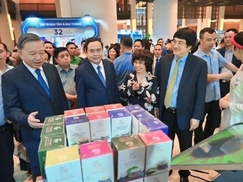 Kỳ vọng lứa doanh nghiệp lớn mới sẽ 'ra ràng' - Bài 1: Doanh nghiệp gia đình nuôi khát vọng lớn