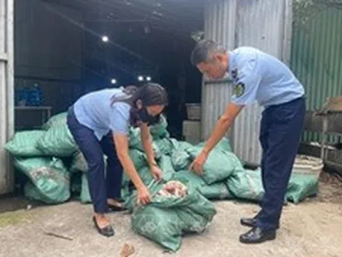 Thu giữ hơn 33 tấn thực phẩm đông lạnh bốc mùi, không rõ nguồn gốc