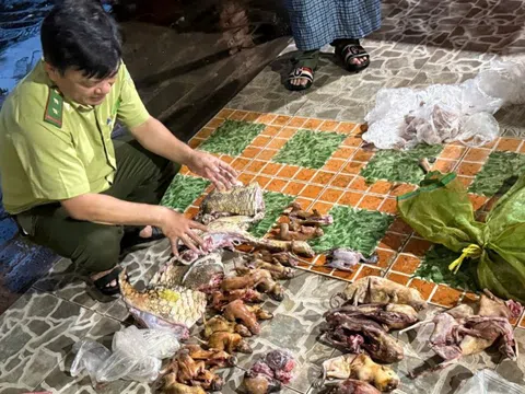 Đồng Nai: Phát hiện hàng chục cá thể động vật rừng tại một quán ăn ở Vĩnh Cửu