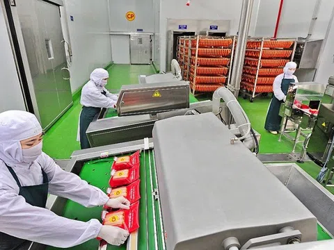 Doanh nghiệp chăn nuôi C.P. kinh doanh ra sao tại Việt Nam?