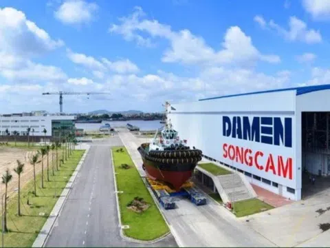 Cổ phiếu SCY lao dốc trước ngày hủy đăng ký giao dịch, dù lãi đều và nắm giữ hàng trăm tỷ tiền mặt
