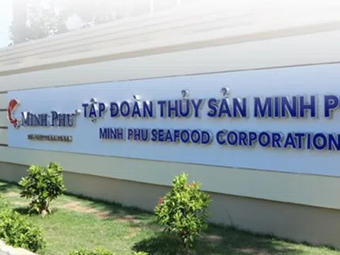 Thủy sản Minh Phú (MPC) đặt mục tiêu lãi nghìn tỷ năm 2025 sau năm 2024 lỗ lớn, con gái Chủ tịch được đề cử vào HĐQT