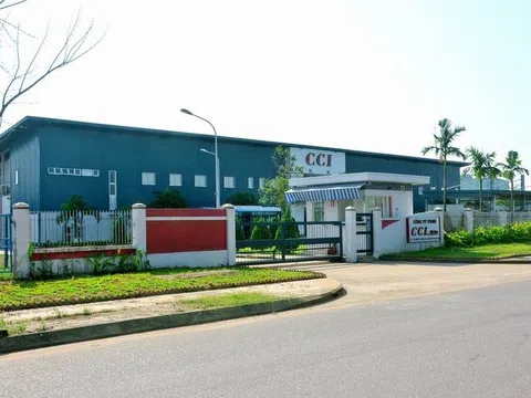 Cizidco: Doanh thu 2024 tăng trưởng, vì sao kế hoạch lợi nhuận 2025 lại 'đi lùi'?