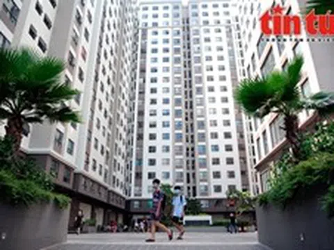 Người trẻ có nên mua nhà chung cư trả góp?