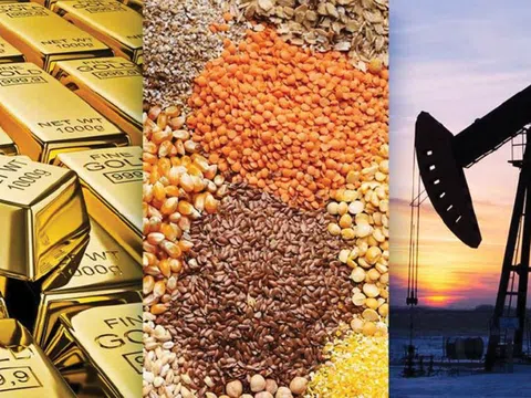Agriseco: Giá hàng hóa thế giới hạ nhiệt, cơ hội nào cho cổ phiếu BMP, HPG, DBC, QTP?
