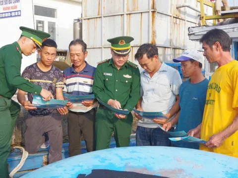 Quảng Ngãi phát động cao điểm xử lý vi phạm khai thác IUU