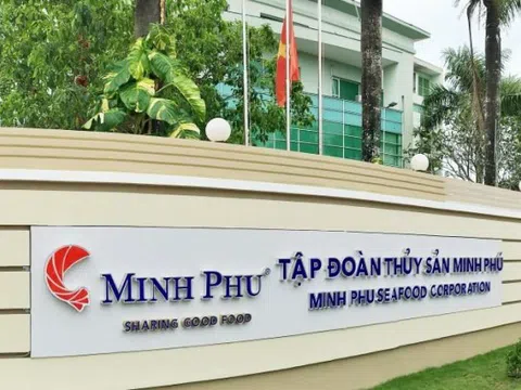 Minh Phú (MPC) đặt mục tiêu lãi gần 1.000 tỷ đồng năm 2025, trình phương án nhân sự Hội đồng Quản trị mới