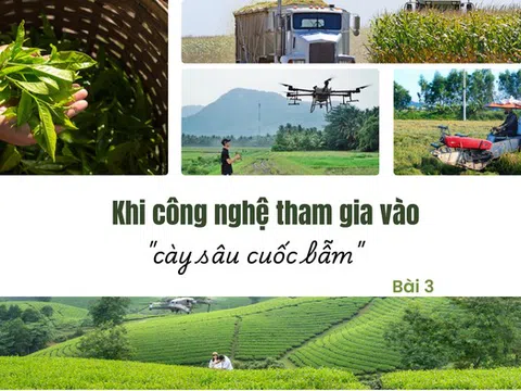 Khi công nghệ tham gia vào "cày sâu cuốc bẫm" - Bài 3: Nông nghiệp hiện đại cần một hệ sinh thái bền vững