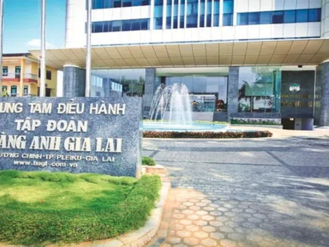 Hoàng Anh Gia Lai (HAG) muốn phát hành 210 triệu cổ phiếu để hoán đổi nợ, đặt mục tiêu lãi nghìn tỷ năm 2025
