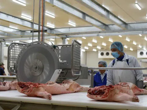 Yêu cầu chấn chỉnh công tác giết mổ lợn sau loạt vụ việc nghiêm trọng